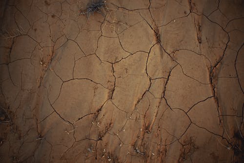 Free Brown and Black Dirt Ground Stock Photo