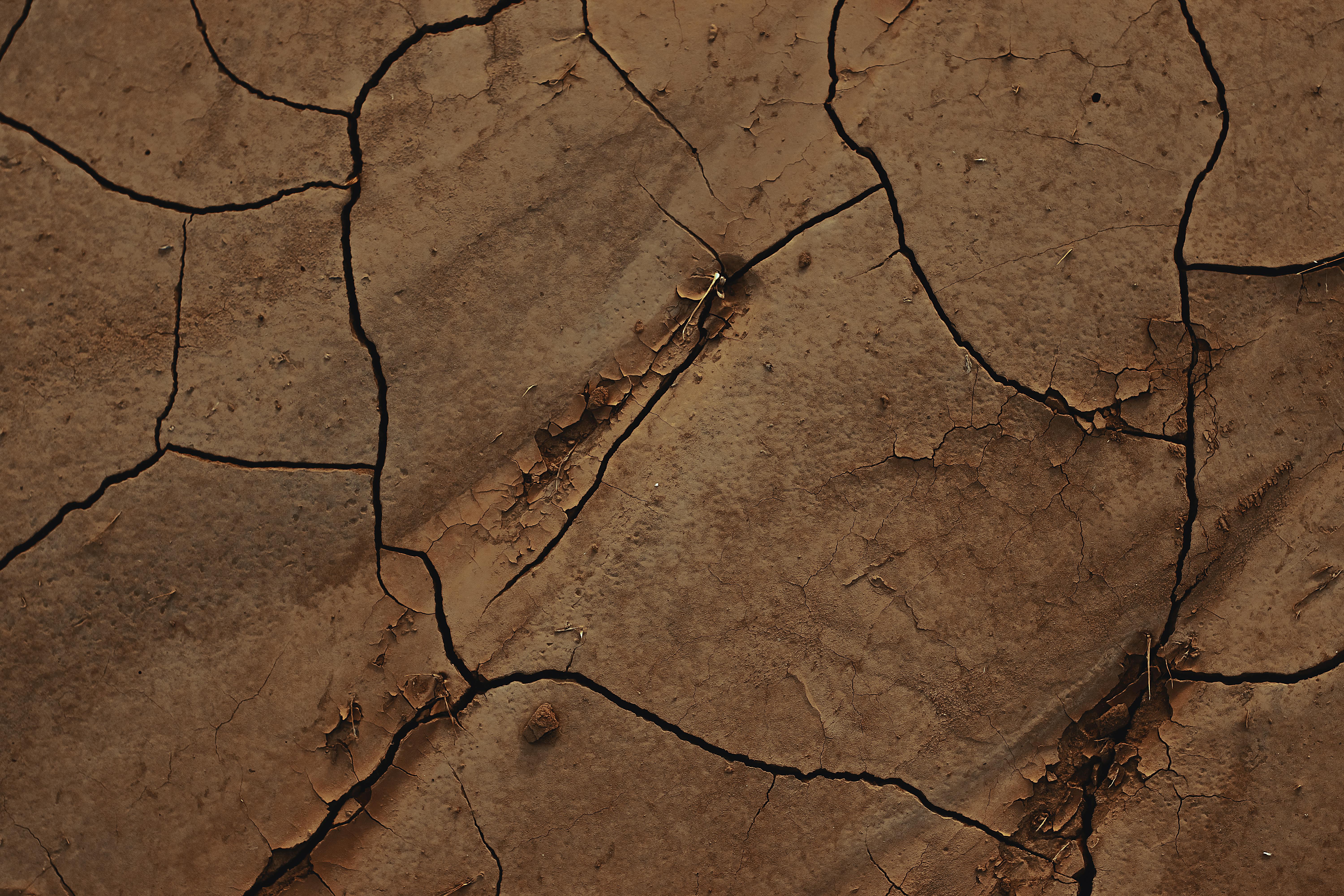 climate resilience drought mitigation — Photo by Mahdi Bafande on Pexels