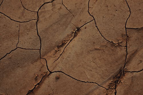 Cracked Brown Soil in Close-up Photography