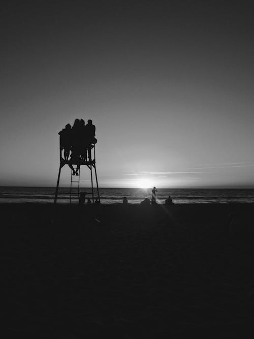 Fotobanka s bezplatnými fotkami na tému cestovné fotografie, čierny a biely, slnko nadol