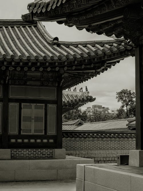 Black and White Photo of a Traditional Korean Building, Changgyeonggung, Seoul