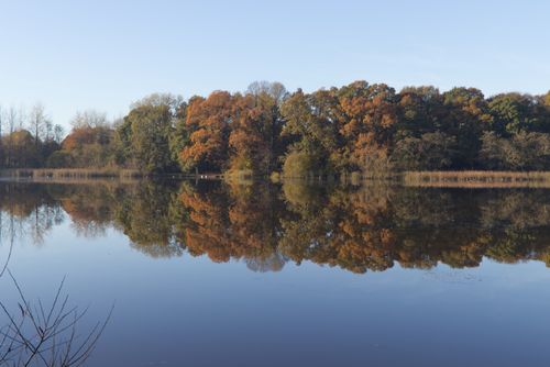 Free Serene view of autumn trees reflecting on a calm lake in Northern Ireland. Stock Photo