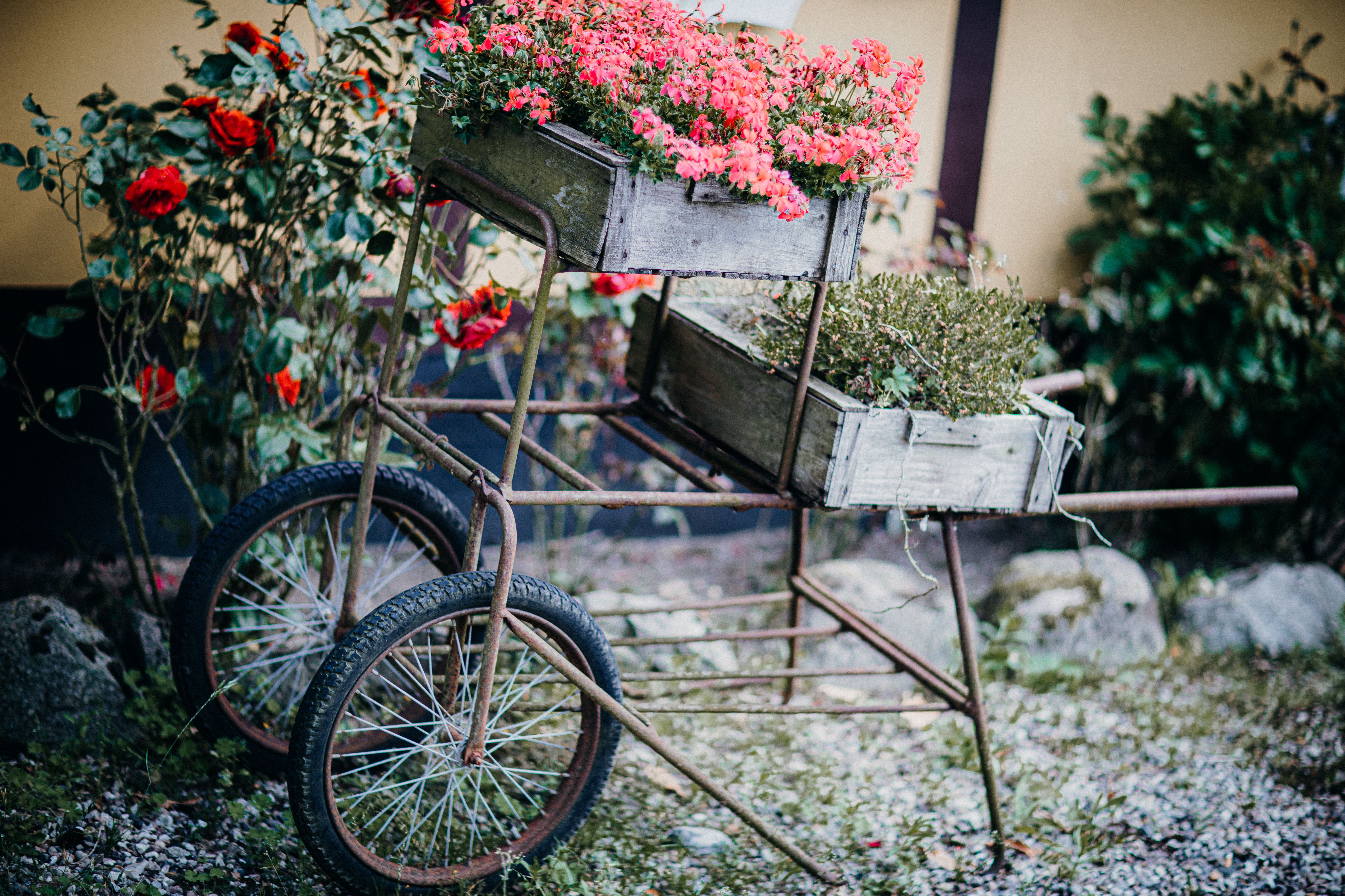 rustic garden with repurposed wooden crates and buckets - diy container garden ideas