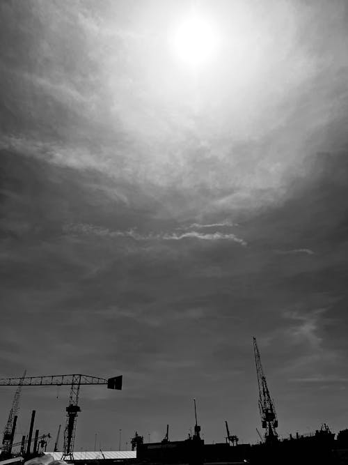 Free stock photo of harbor, rotterdam, the netherlands