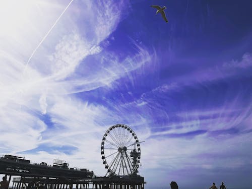 Free stock photo of beach, blue sky, den haag