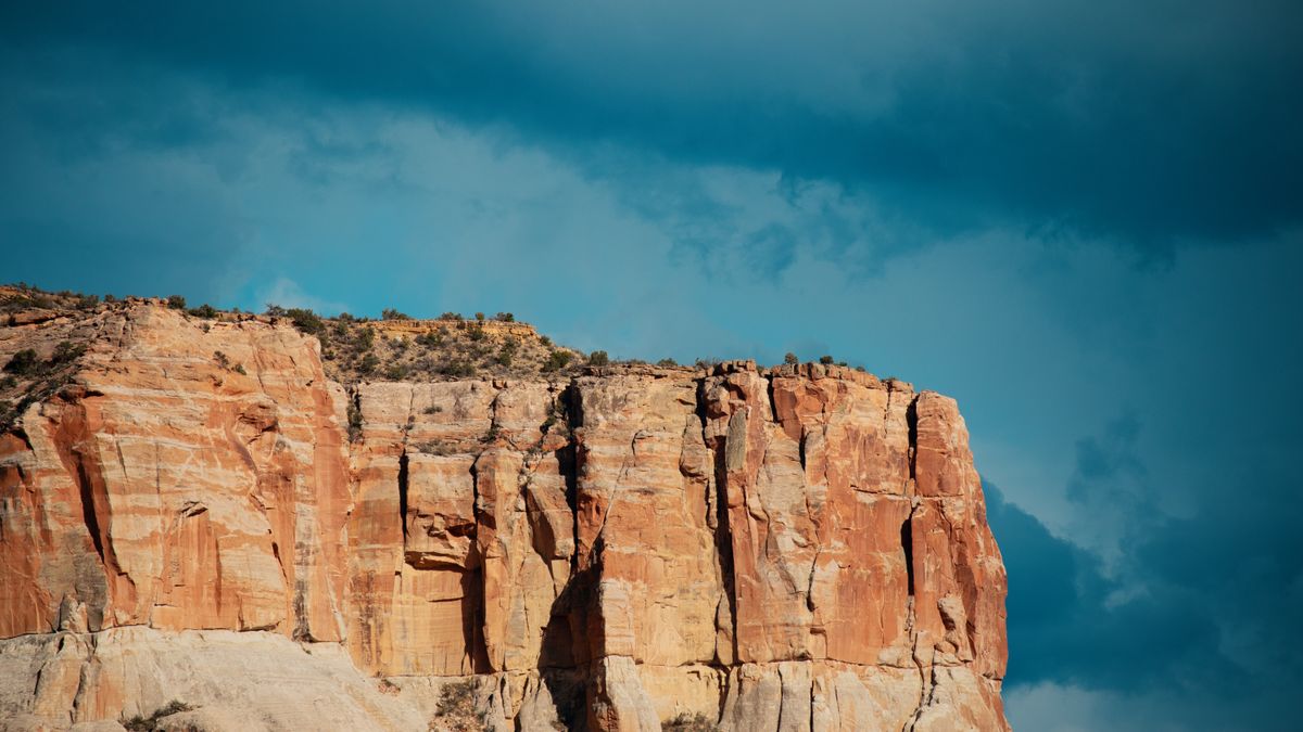 Best Birthday Freebies in Albuquerque, NM: 2026 Local Guide