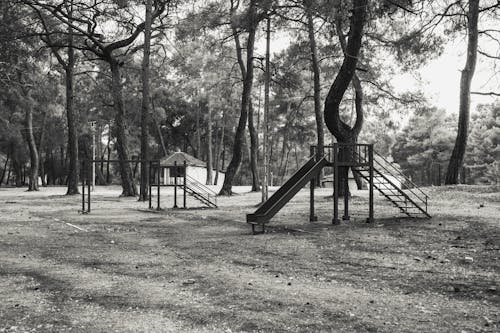 Бесплатное стоковое фото с деревья, игровая площадка, монохромный