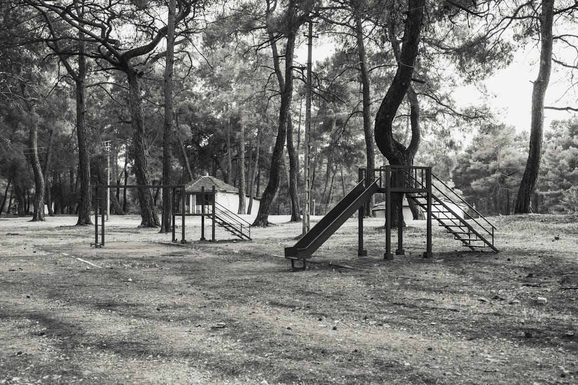 Photos gratuites de aire de jeux, arbres, échelle des gris