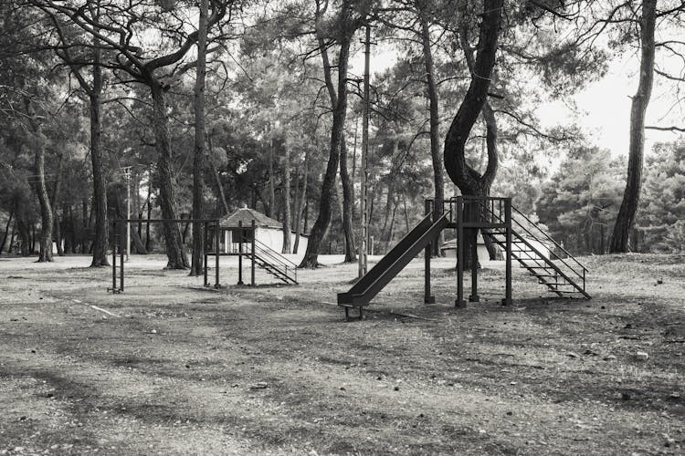 Slides On A Playground Near Trees