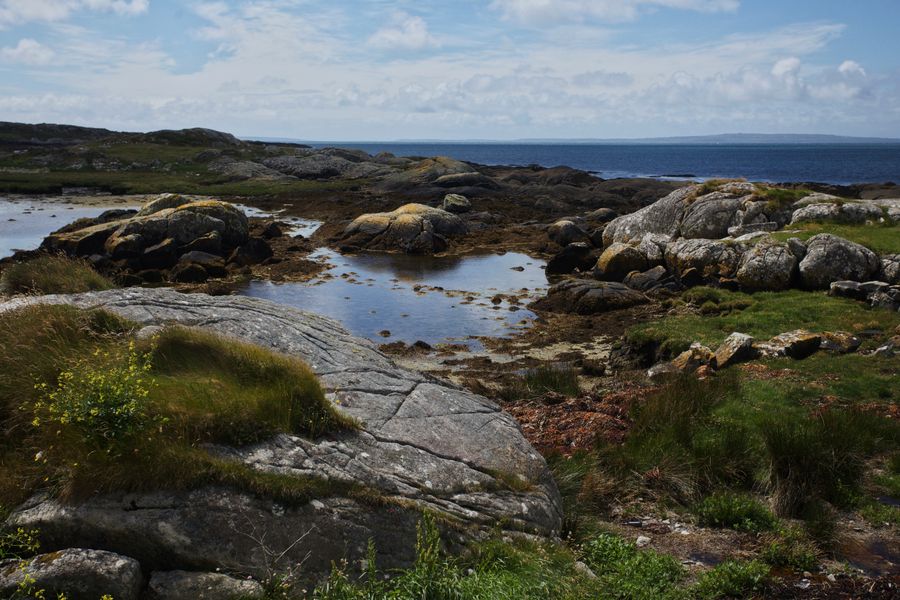 Coastal scene with rocks and grass in Connemara, Ireland