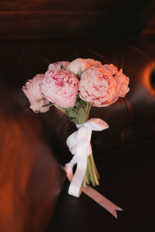 Free Pink Roses in Close Up Photography Stock Photo