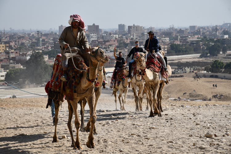 Men Riding Camels