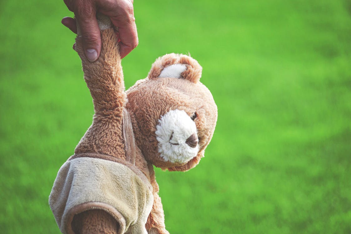 Photo of Person Holding Brown Teddy Bear
