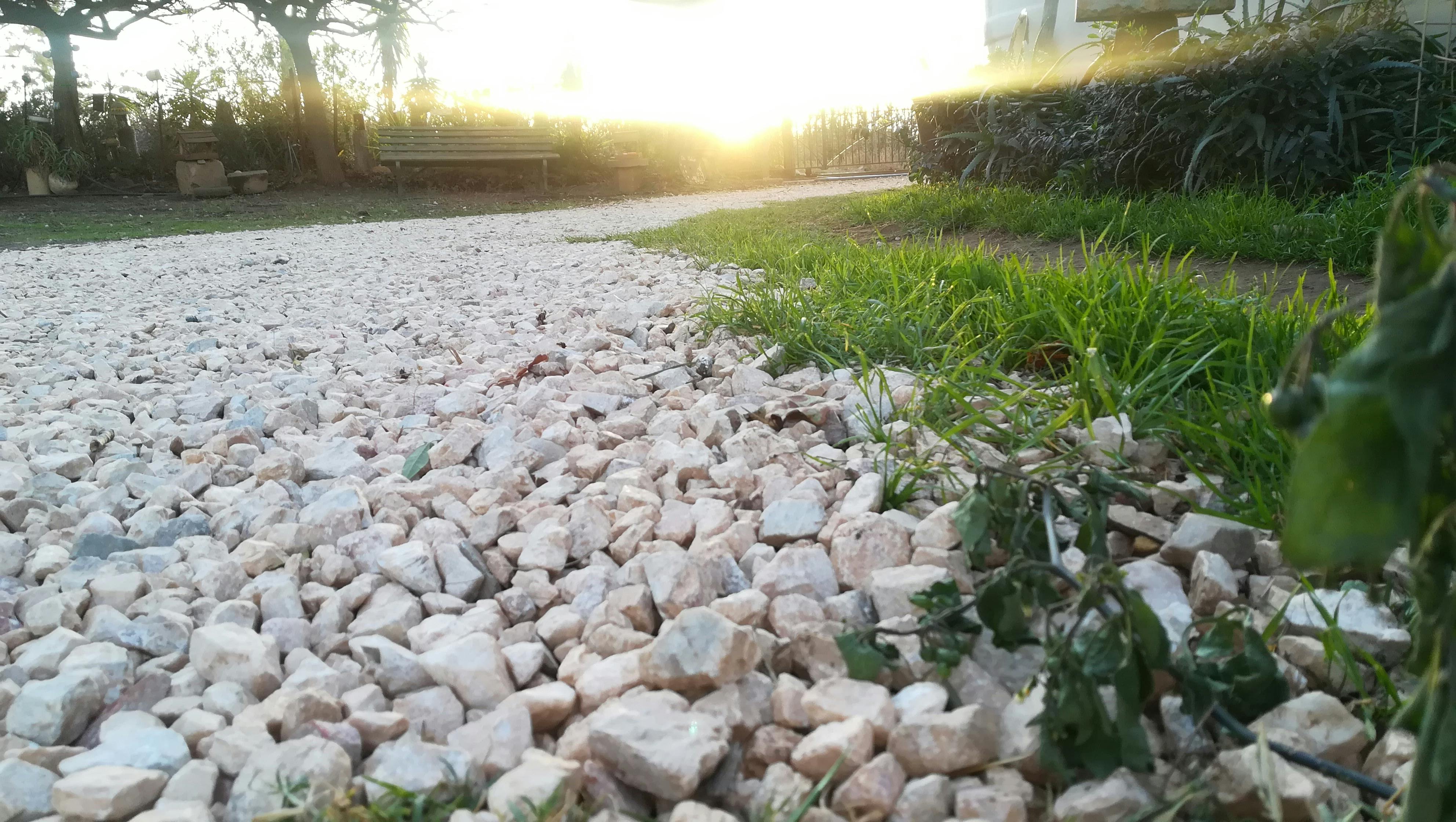 India women vs South Africa women World Cup Final 2025