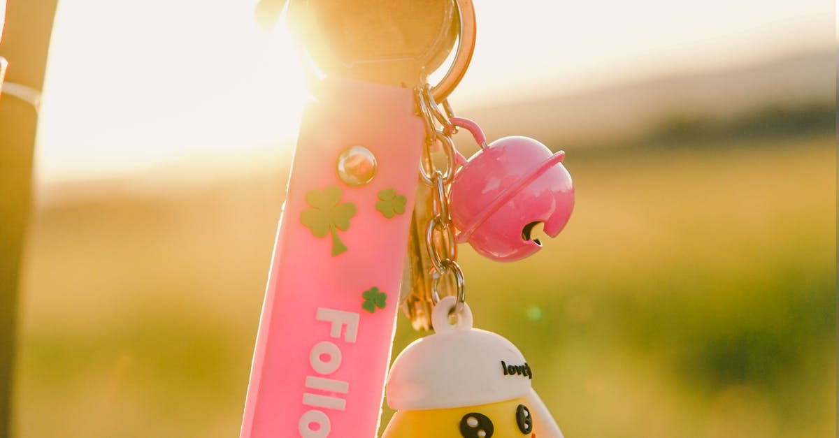 Keys with Pink Keychains · Free Stock Photo