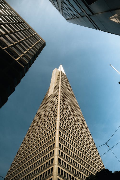 Low-Angle Shot of High Rise Buildings