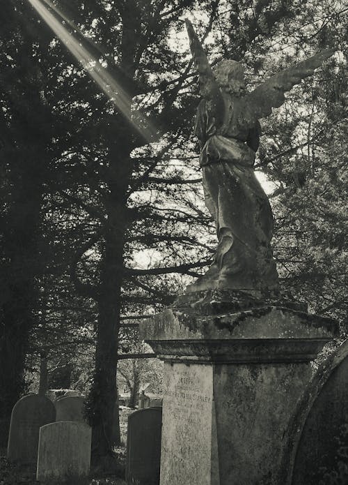 Free Kostnadsfri bild av ängel, begravningsplats, gråskale Stock Photo