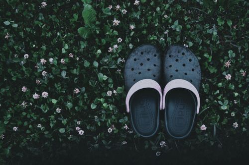 Free Overhead shot of casual clogs on a lush grass bed with small flowers. Stock Photo