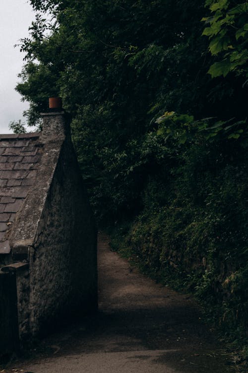 Foto d'estoc gratuïta de arbres, brut, casa