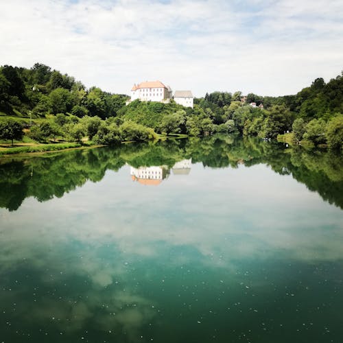 Immagine gratuita di alberi verdi, calma, lago