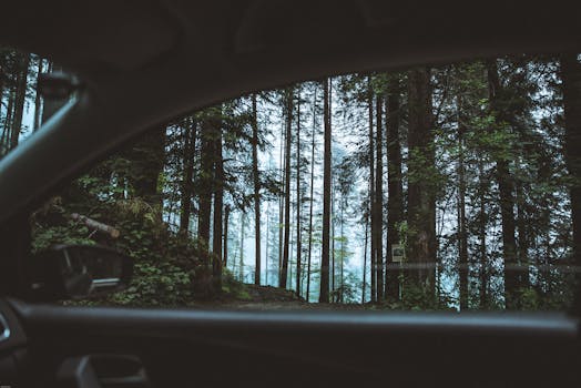 Scenic view of a lush forest through a car window in Söll, Austria.