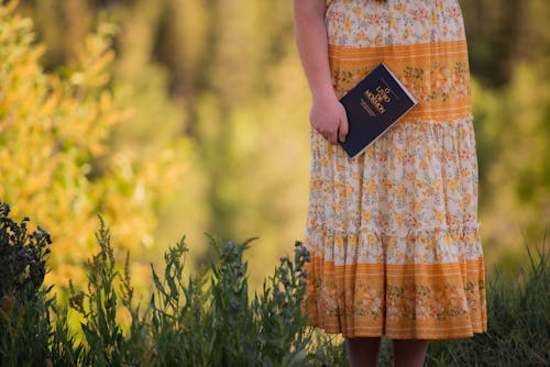 Free woman holding book in Portuguese in nature Stock Photo