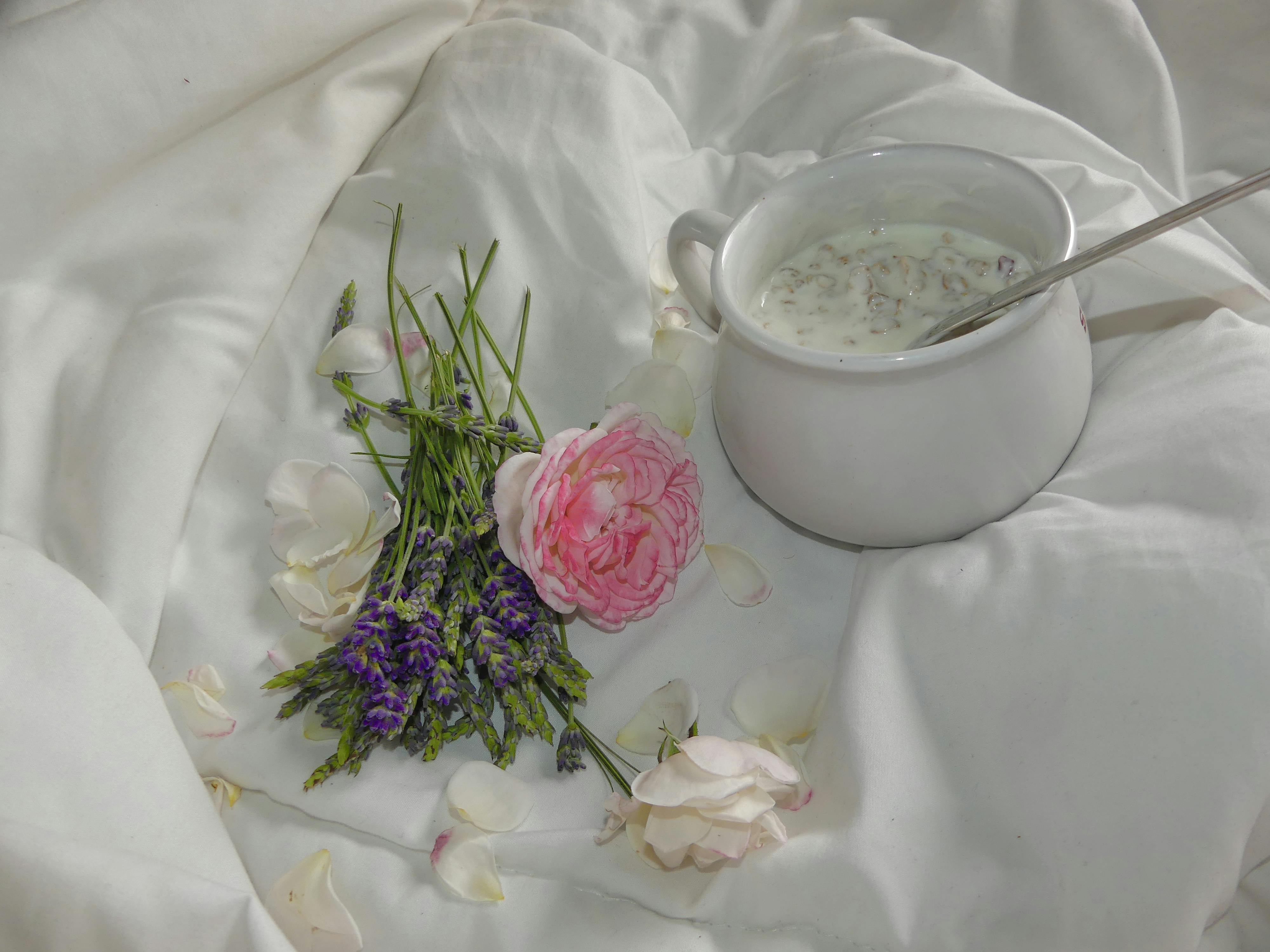 Free stock photo of breakfast in bed, Good Morning, lavender