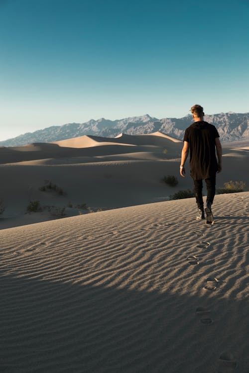 Back View of a Man Walking on the Sand