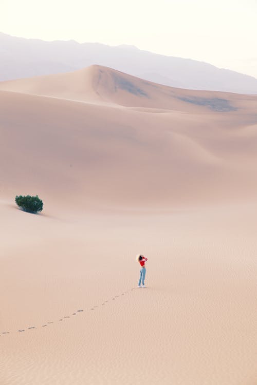 Бесплатное стоковое фото с вертикальный выстрел, дюны, женщина
