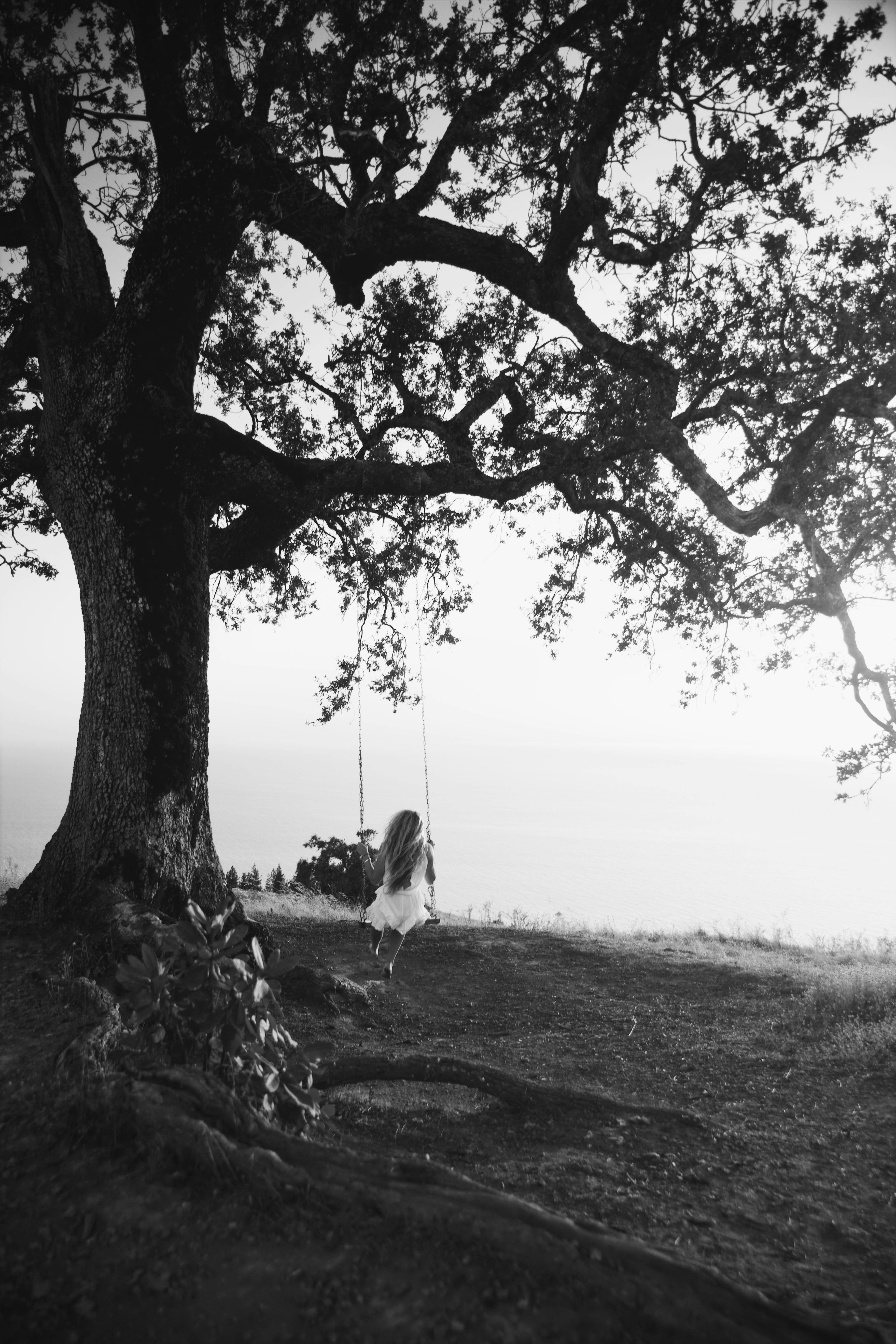 A peaceful moment with a woman on a swing under a large tree by the sea.