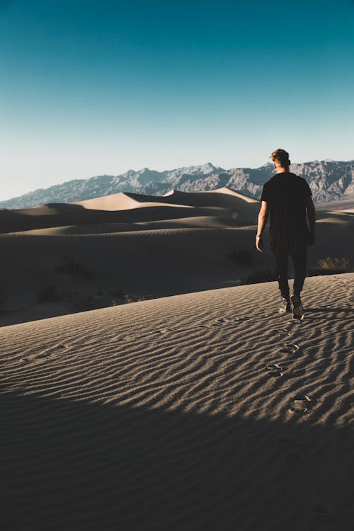 Back View of a Man Walking on a Desert