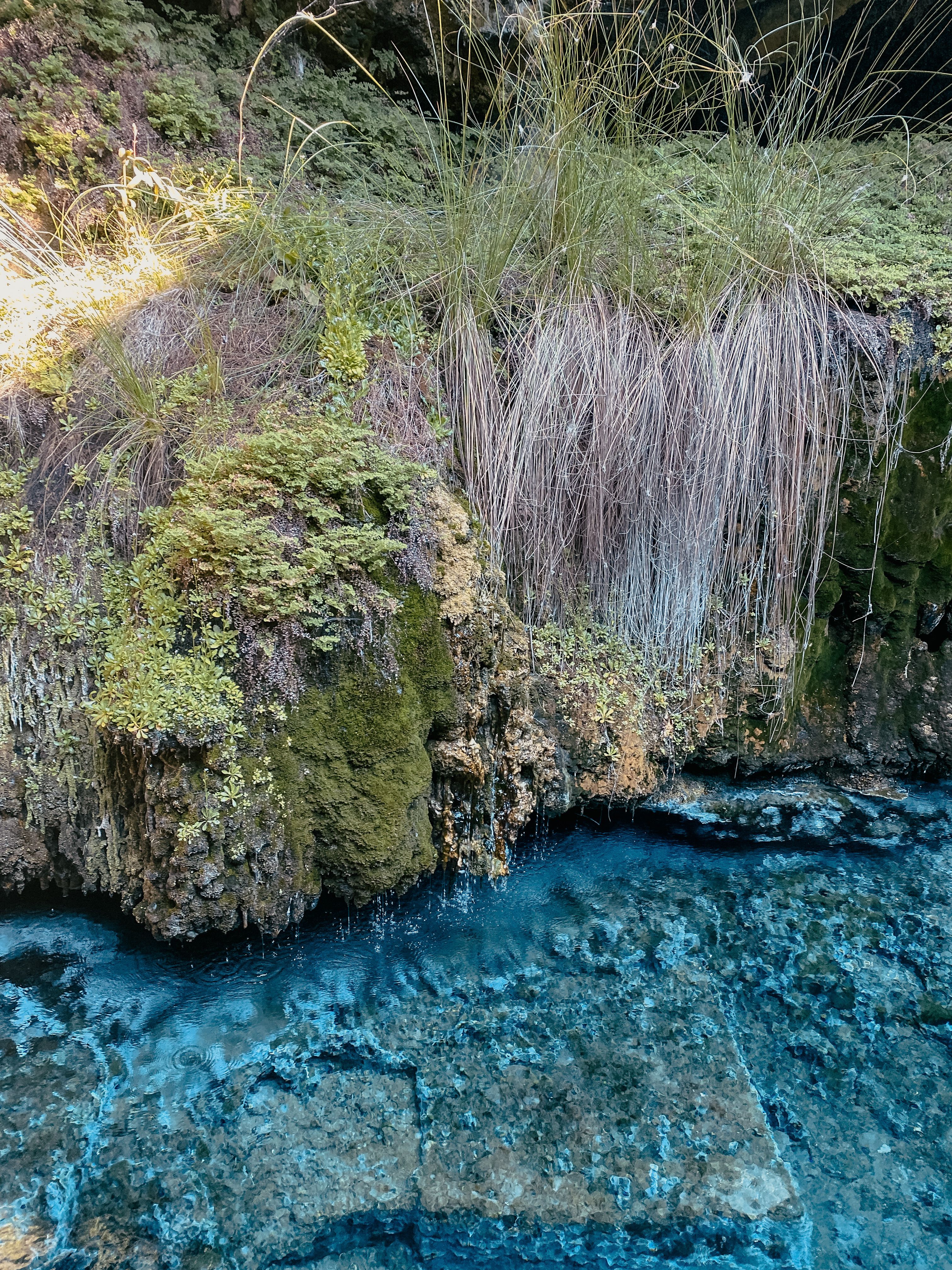 Photo of a River Shore · Free Stock Photo