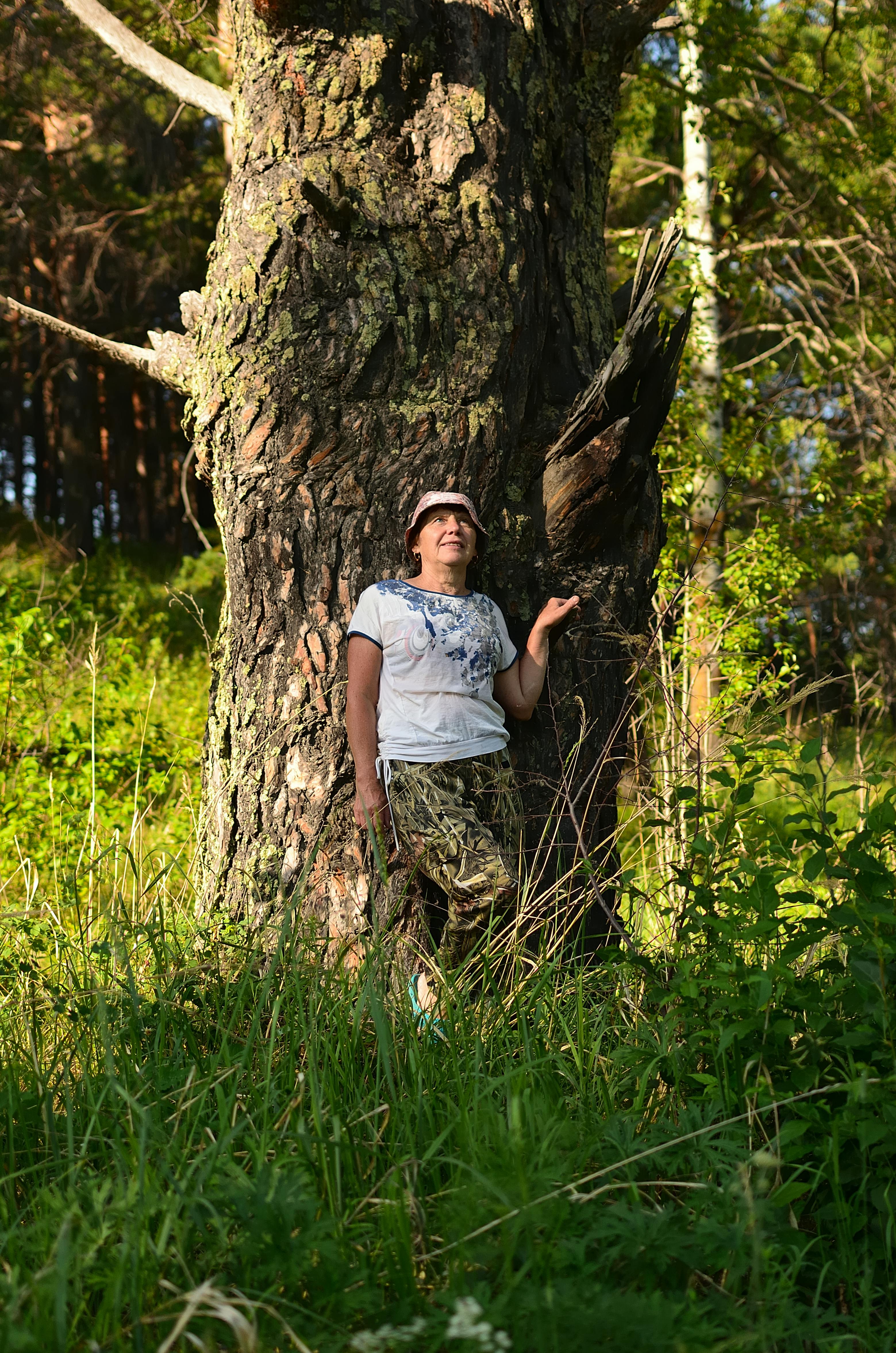 What would happen if humans didn't age?