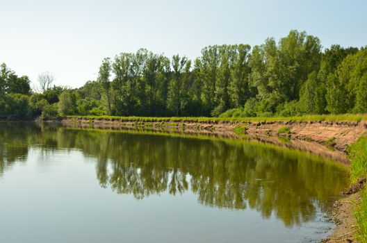 Beautiful riverbank scene with trees reflecting on calm water under a clear sky.