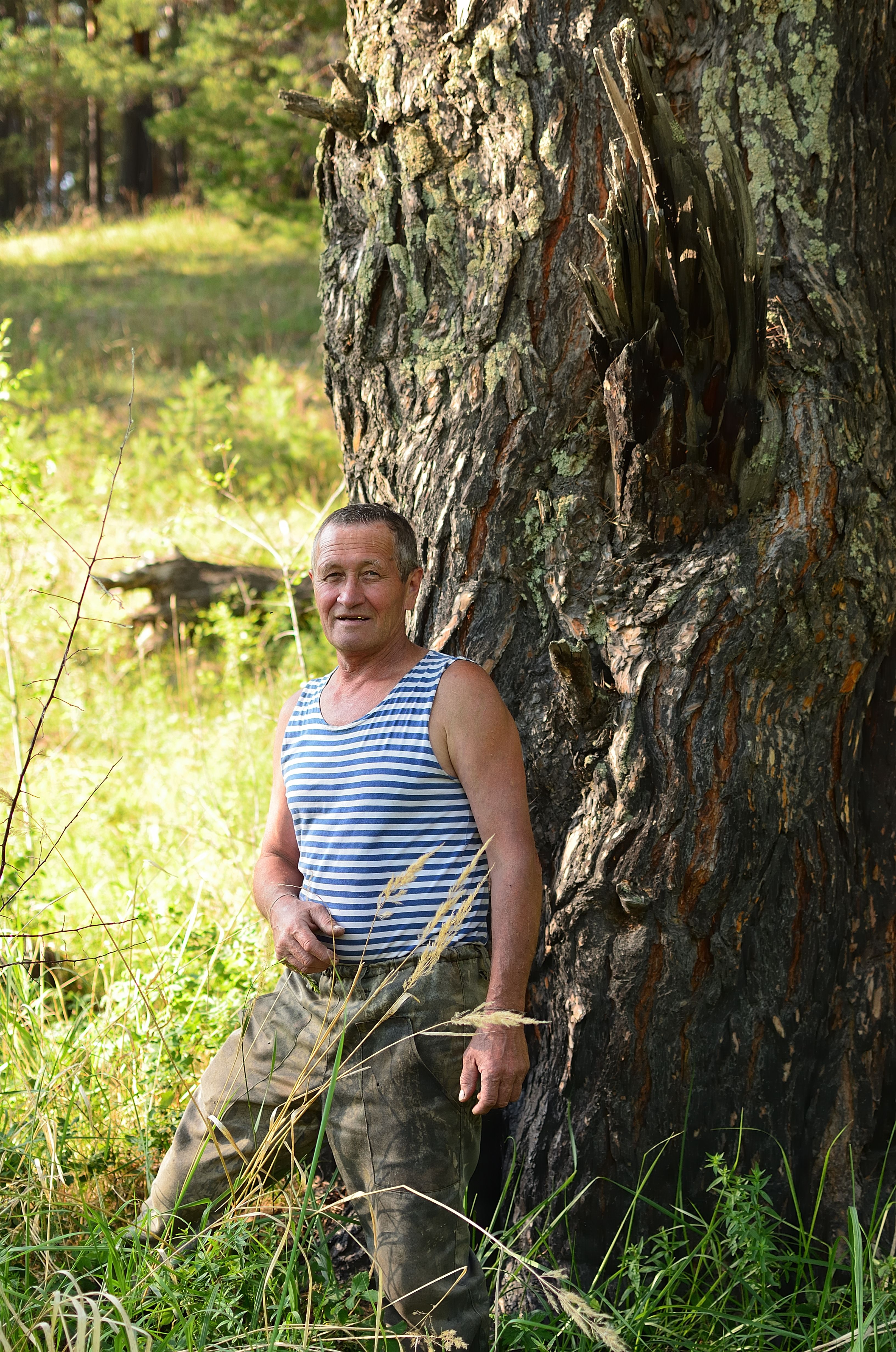 A man in a striped tank top leans against a large tree in a sunlit forest.