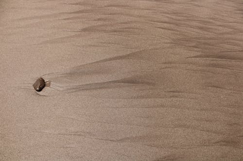 Základová fotografie zdarma na téma detail, duny, hnědá