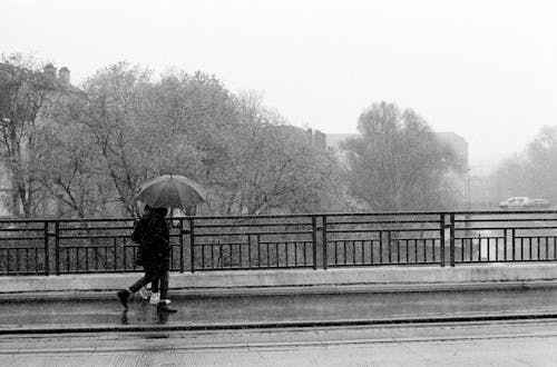 Grayscale Photo of People Walking on a Bridge