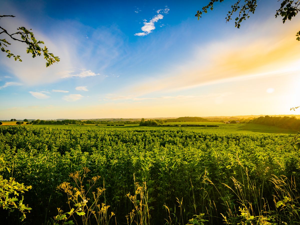 2 Day Women's Solo Past Life Regression Retreat in Lancashire, UK 2