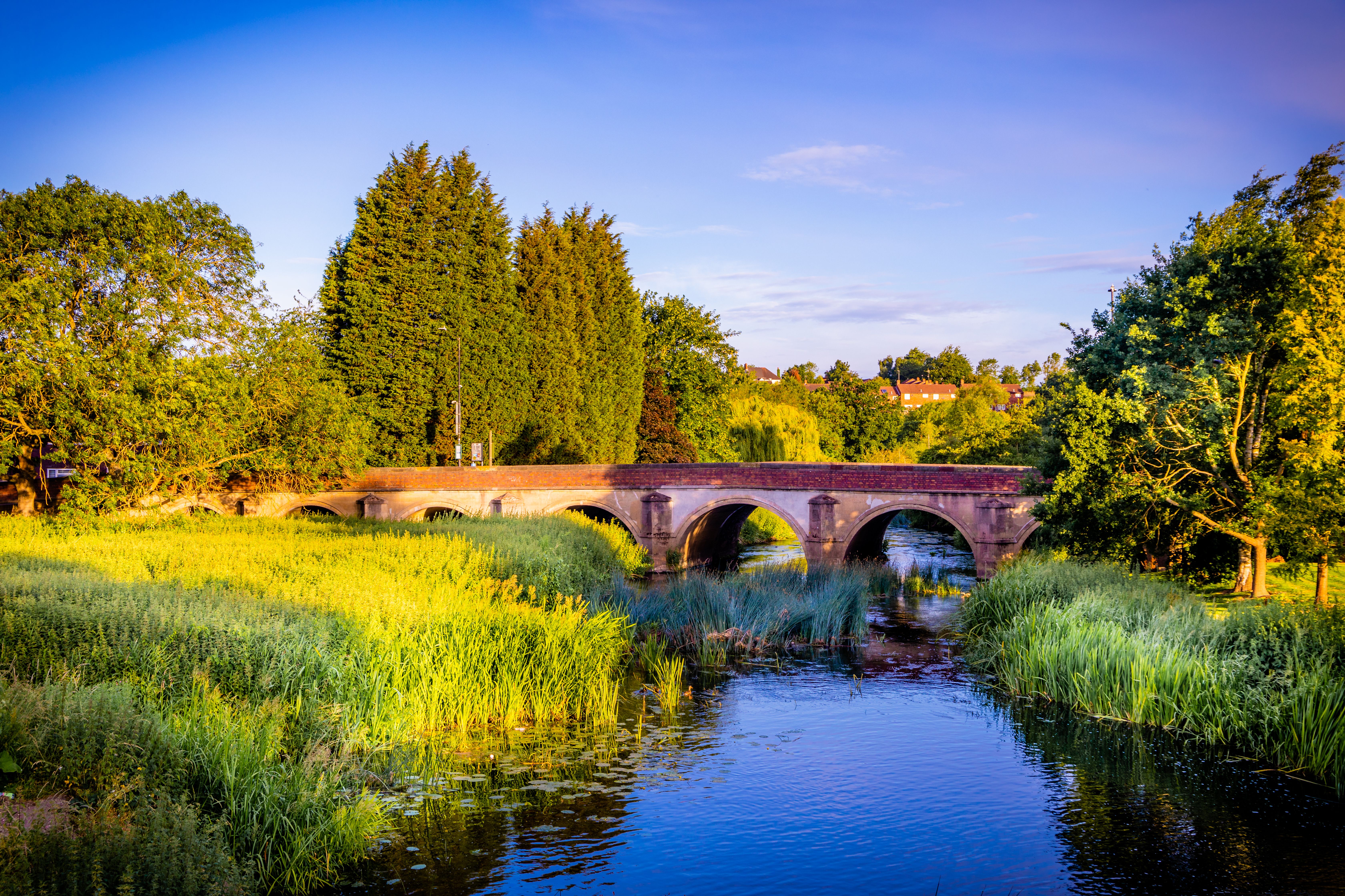 Charming stone bridge over a tranquil river surrounded by vibrant green foliage in Polesworth, England.