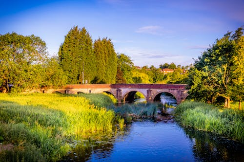 Photo of a Bridge above a River