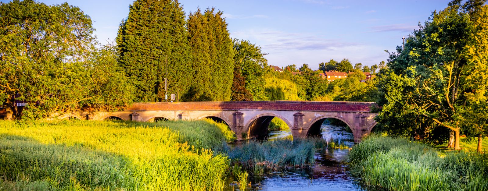 Charming stone bridge over a tranquil river surrounded by vibrant green foliage in Polesworth, England.