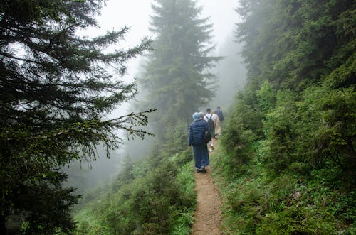People Walking on Pathway in the Mountain