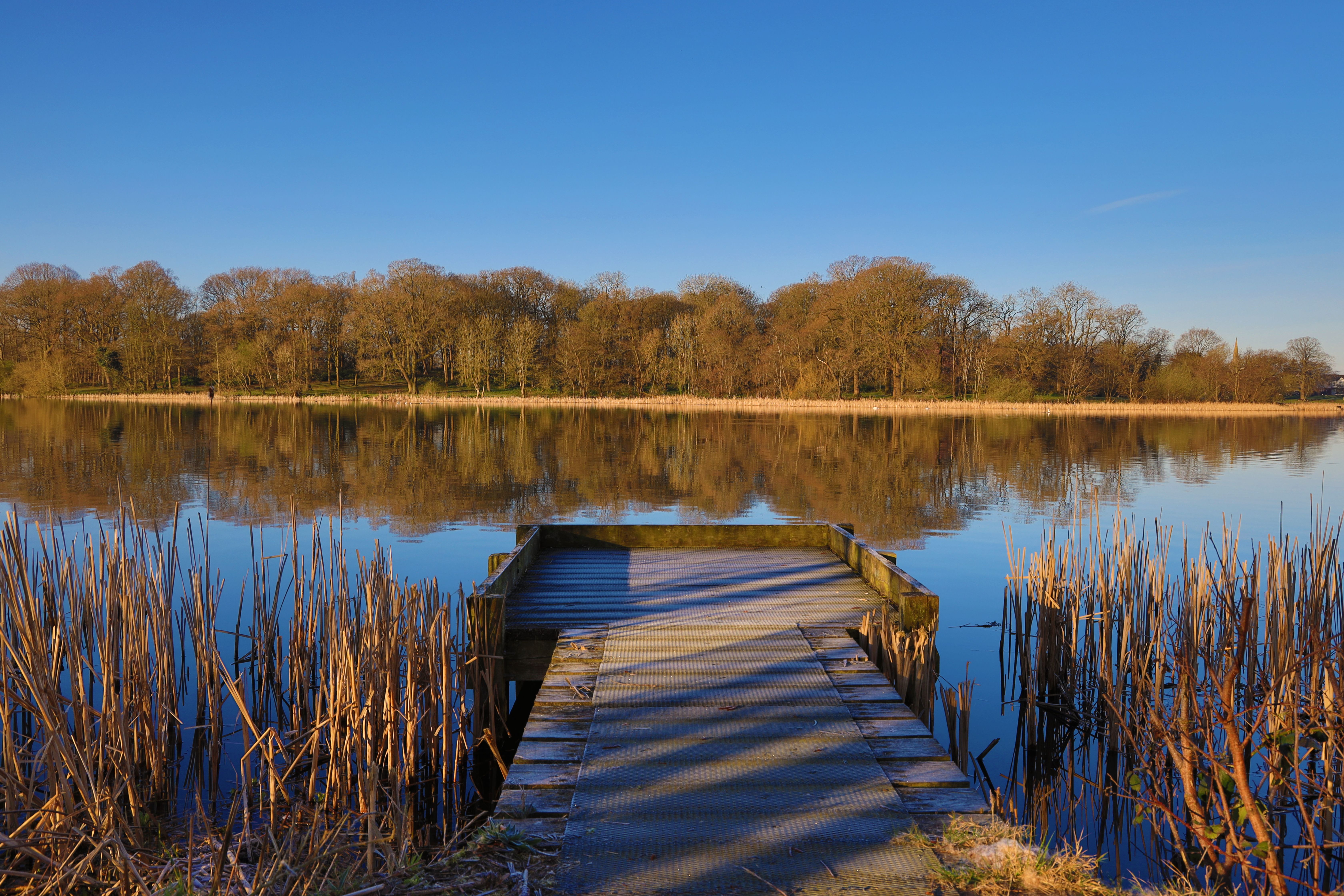A wooden dock reaching into a calm lake, where a shore road allowance can sit between the lot and the water