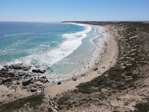 Drone Shot of People at the Beach