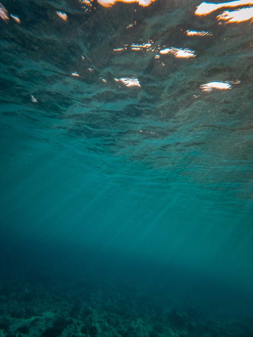 Free H2O, ターコイズ, ダイビングの無料の写真素材 Stock Photo