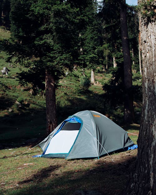 Six Camping Tents in Forest · Free Stock Photo