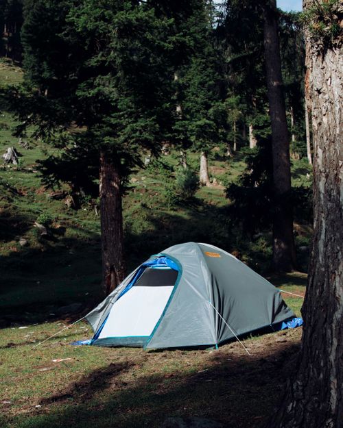 Free A cozy tent nestled amidst towering trees in a tranquil forest campsite, ideal for outdoor adventures. Stock Photo