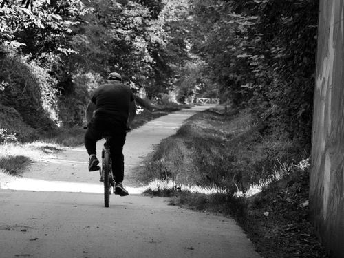 Free Black and white image of a cyclist riding down a tree-lined path, creating a serene outdoor scene. Stock Photo