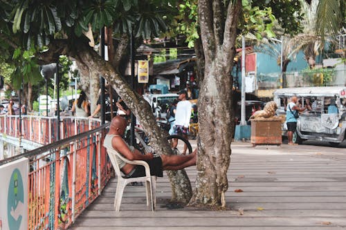 Man Sleeping on Chair Near Tree