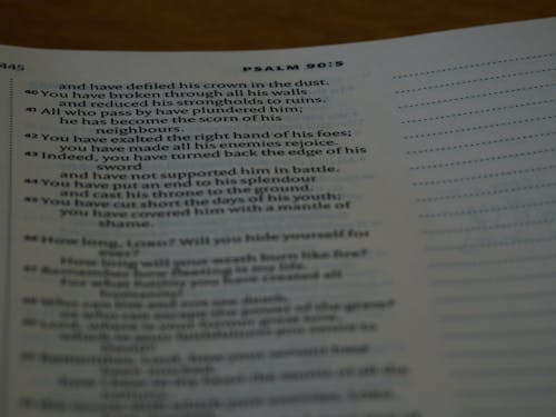 Free stock photo of bible, bible study, blur Stock Photo